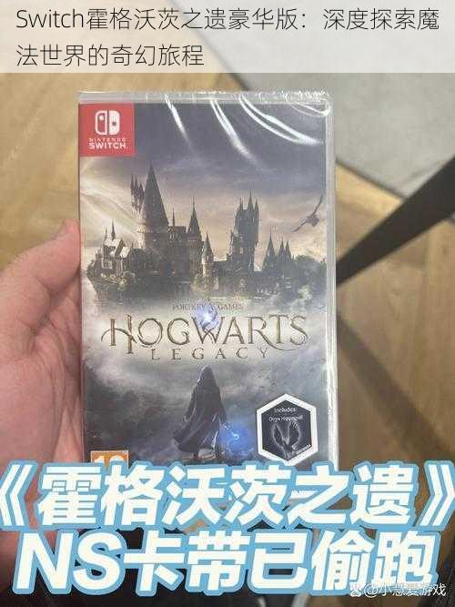 Switch霍格沃茨之遗豪华版：深度探索魔法世界的奇幻旅程