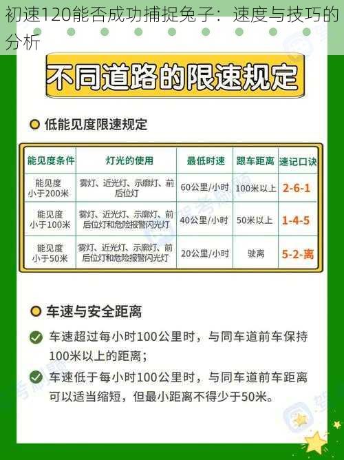 初速120能否成功捕捉兔子：速度与技巧的分析