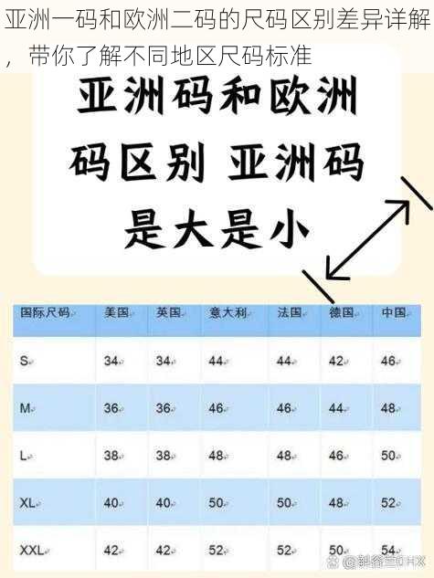 亚洲一码和欧洲二码的尺码区别差异详解，带你了解不同地区尺码标准