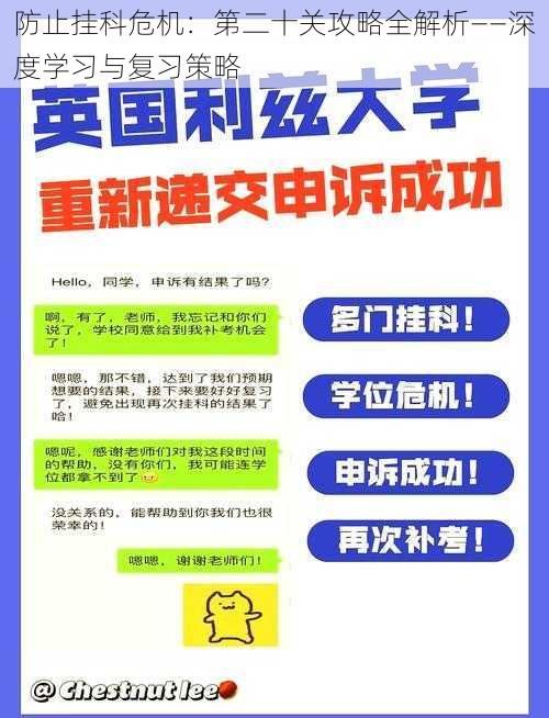 防止挂科危机：第二十关攻略全解析——深度学习与复习策略