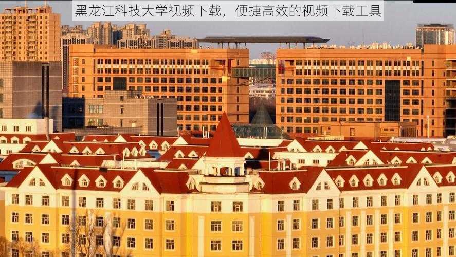 黑龙江科技大学视频下载，便捷高效的视频下载工具