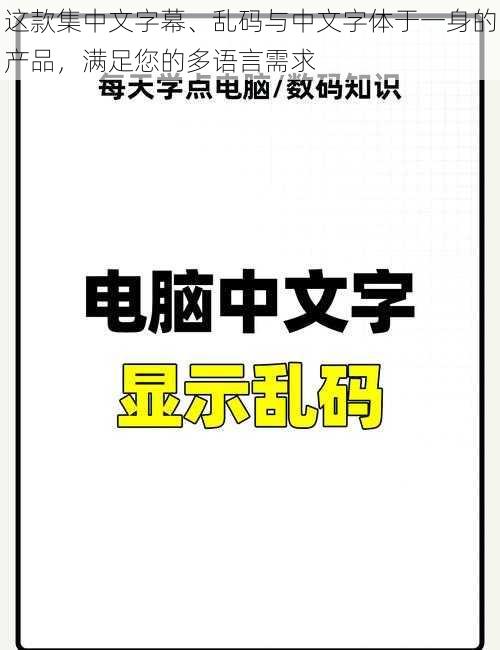 这款集中文字幕、乱码与中文字体于一身的产品，满足您的多语言需求