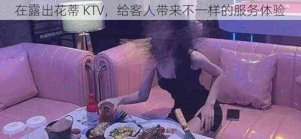 在露出花蒂 KTV，给客人带来不一样的服务体验