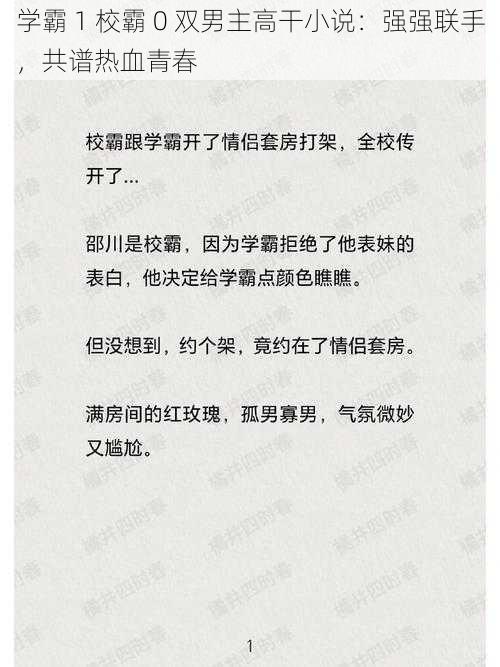 学霸 1 校霸 0 双男主高干小说：强强联手，共谱热血青春