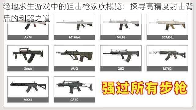 绝地求生游戏中的狙击枪家族概览：探寻高精度射击背后的利器之道