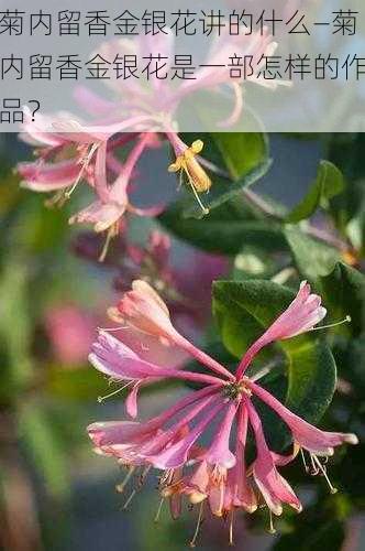 菊内留香金银花讲的什么—菊内留香金银花是一部怎样的作品？