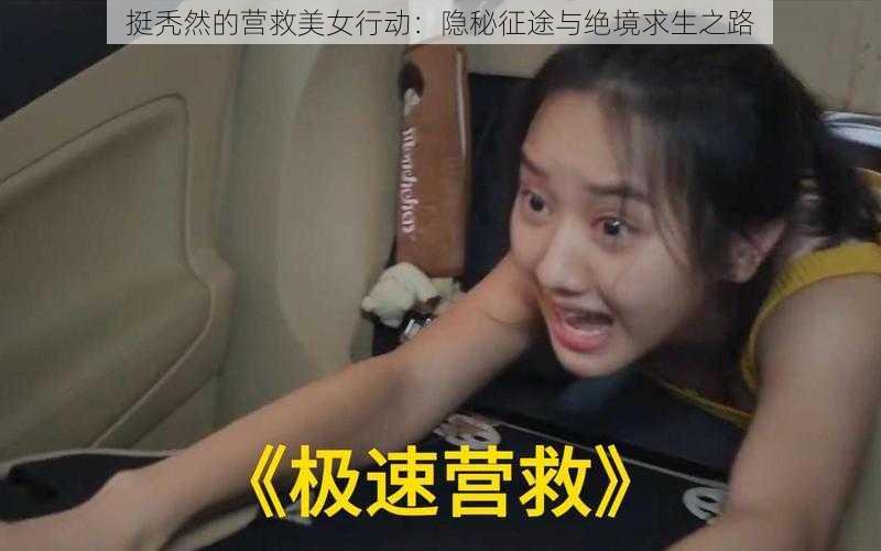 挺秃然的营救美女行动：隐秘征途与绝境求生之路