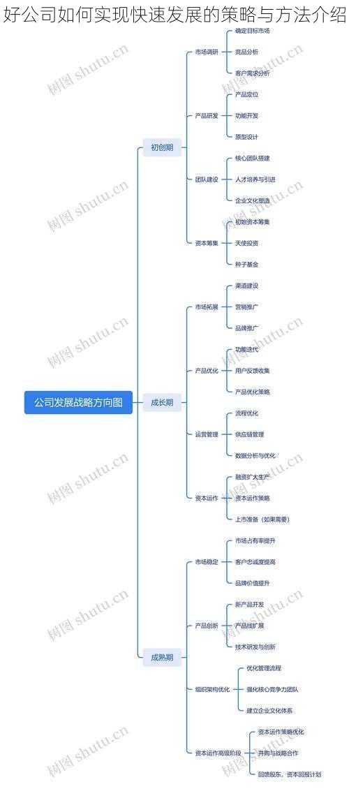 好公司如何实现快速发展的策略与方法介绍