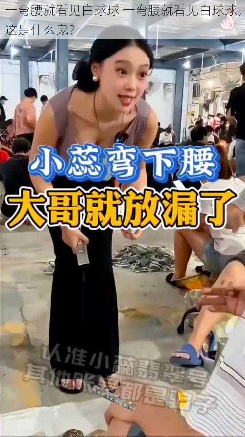 一弯腰就看见白球球 一弯腰就看见白球球，这是什么鬼？