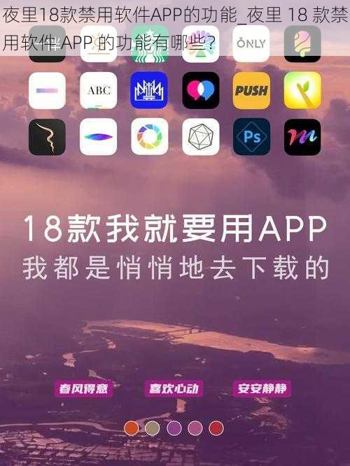 夜里18款禁用软件APP的功能_夜里 18 款禁用软件 APP 的功能有哪些？