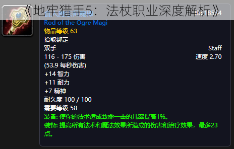 《地牢猎手5：法杖职业深度解析》