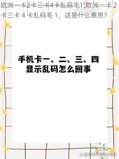 欧洲一卡2卡三卡4卡乱码毛1;欧洲一卡 2 卡三卡 4 卡乱码毛 1，这是什么意思？