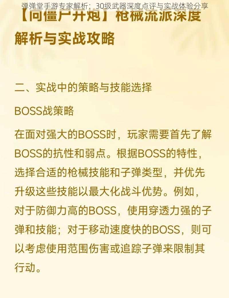 弹弹堂手游专家解析：30级武器深度点评与实战体验分享