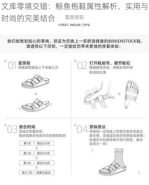 文库零境交错：鲸鱼拖鞋属性解析，实用与时尚的完美结合