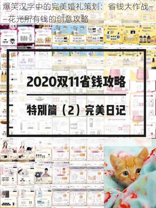 爆笑汉字中的完美婚礼策划：省钱大作战——花光所有钱的创意攻略