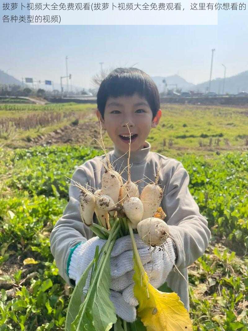 拔萝卜视频大全免费观看(拔萝卜视频大全免费观看，这里有你想看的各种类型的视频)