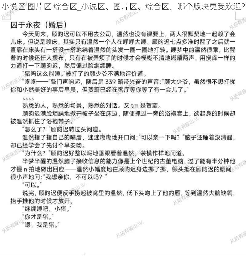 小说区 图片区 综合区_小说区、图片区、综合区，哪个版块更受欢迎？