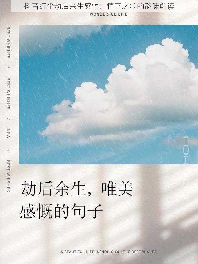 抖音红尘劫后余生感悟：情字之歌的韵味解读