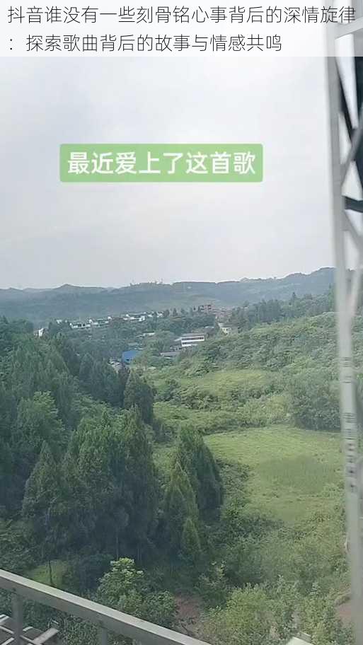 抖音谁没有一些刻骨铭心事背后的深情旋律：探索歌曲背后的故事与情感共鸣