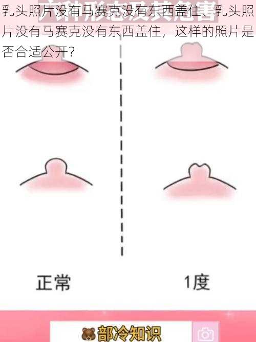 乳头照片没有马赛克没有东西盖住、乳头照片没有马赛克没有东西盖住，这样的照片是否合适公开？