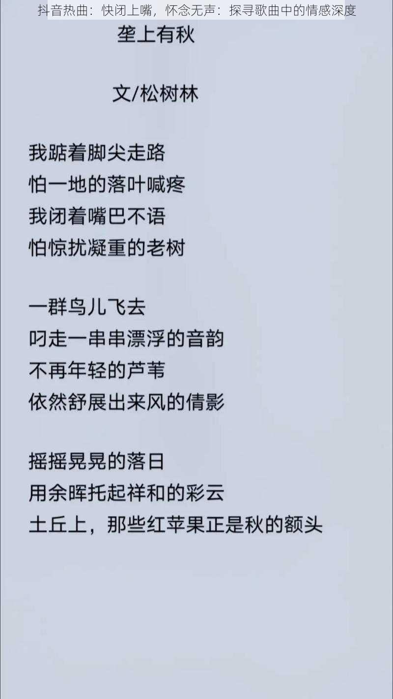 抖音热曲：快闭上嘴，怀念无声：探寻歌曲中的情感深度