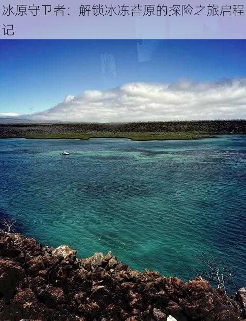 冰原守卫者：解锁冰冻苔原的探险之旅启程记