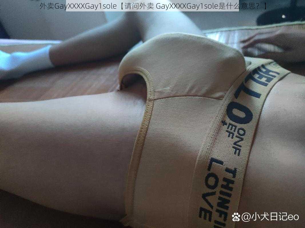 外卖GayXXXXGay1sole【请问外卖 GayXXXXGay1sole是什么意思？】