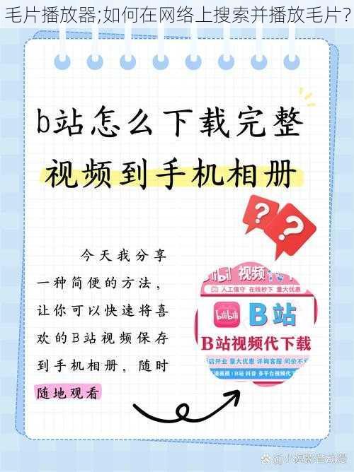 毛片播放器;如何在网络上搜索并播放毛片？