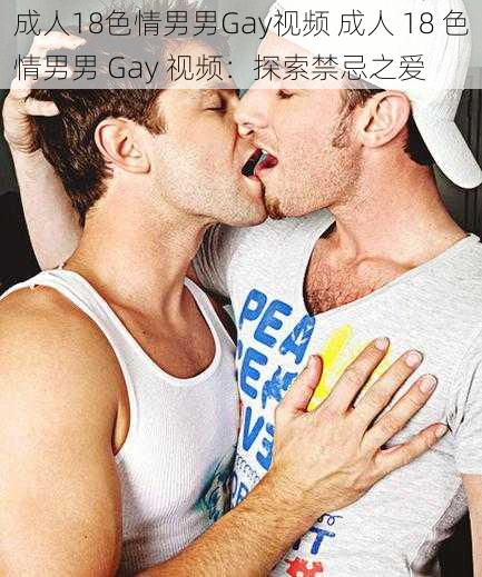 成人18色情男男Gay视频 成人 18 色情男男 Gay 视频：探索禁忌之爱