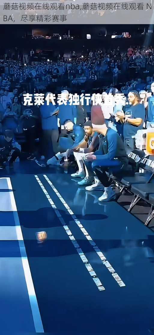 蘑菇视频在线观看nba,蘑菇视频在线观看 NBA，尽享精彩赛事