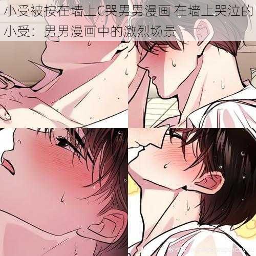 小受被按在墙上C哭男男漫画 在墙上哭泣的小受：男男漫画中的激烈场景