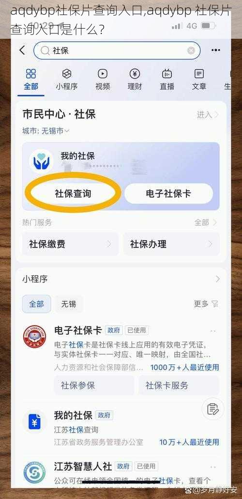 aqdybp社保片查询入口,aqdybp 社保片查询入口是什么？