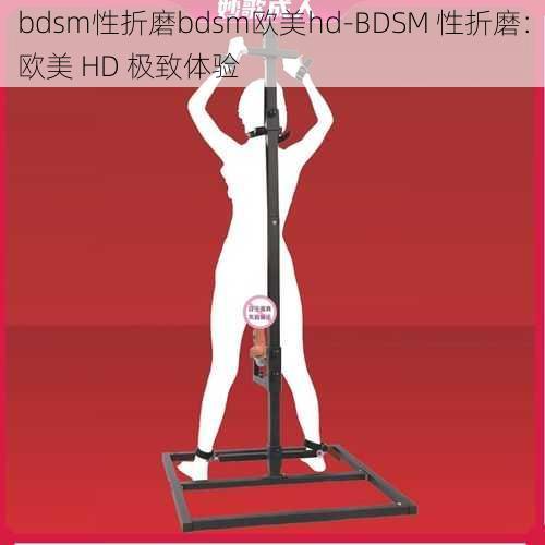 bdsm性折磨bdsm欧美hd-BDSM 性折磨：欧美 HD 极致体验