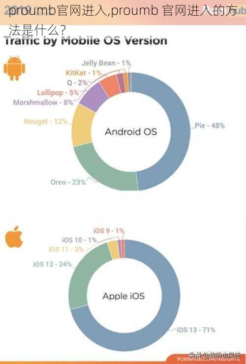 proumb官网进入,proumb 官网进入的方法是什么？