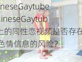 chineseGaytube;chineseGaytube 上的同性恋视频是否存在传播色情信息的风险？