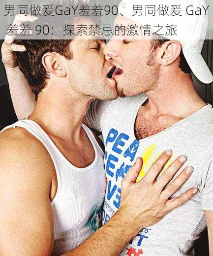 男同做爰GaY羞羞90、男同做爰 GaY 羞羞 90：探索禁忌的激情之旅