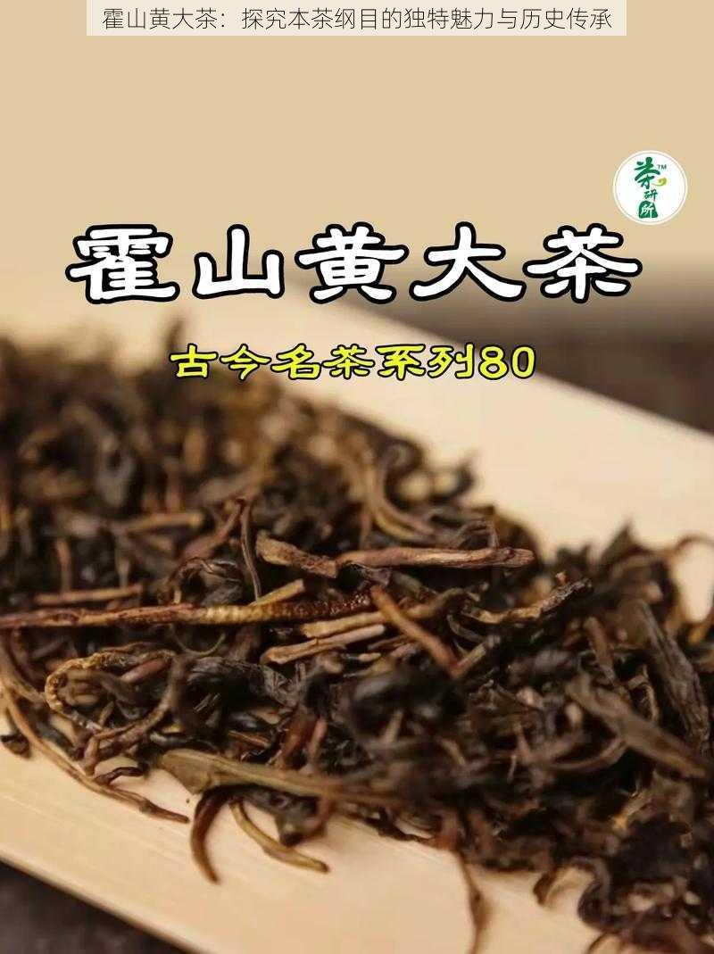 霍山黄大茶：探究本茶纲目的独特魅力与历史传承