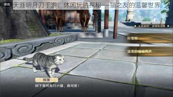 天涯明月刀手游：休闲玩法探秘——猫之友的温馨世界