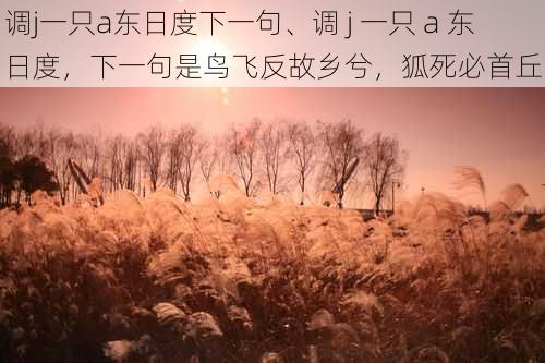 调j一只a东日度下一句、调 j 一只 a 东日度，下一句是鸟飞反故乡兮，狐死必首丘