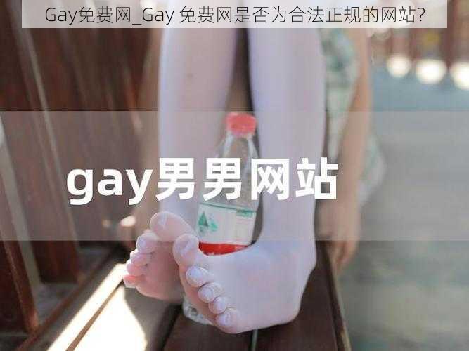 Gay免费网_Gay 免费网是否为合法正规的网站？