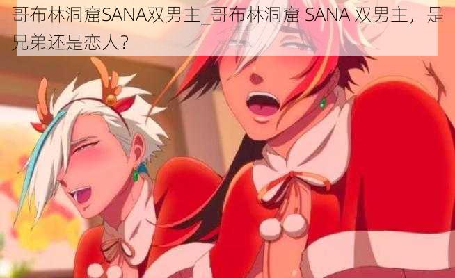 哥布林洞窟SANA双男主_哥布林洞窟 SANA 双男主，是兄弟还是恋人？