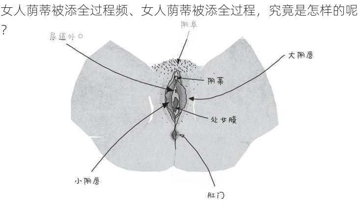 女人荫蒂被添全过程频、女人荫蒂被添全过程，究竟是怎样的呢？