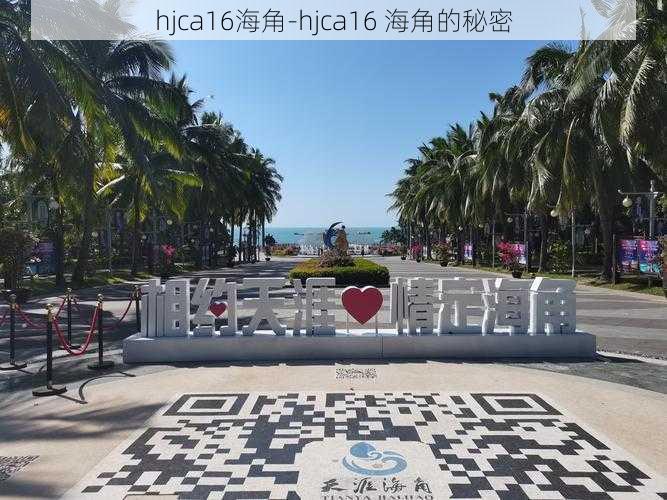 hjca16海角-hjca16 海角的秘密