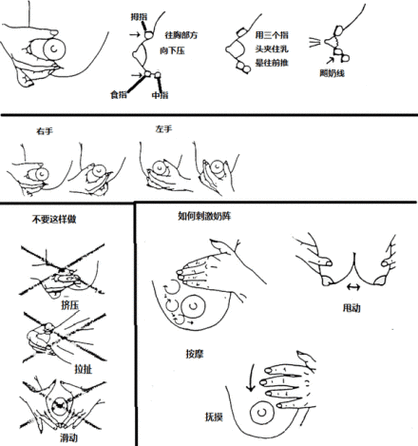 催乳师手法视频教程4 催乳师手法视频教程 4：专业技巧，让您轻松下奶