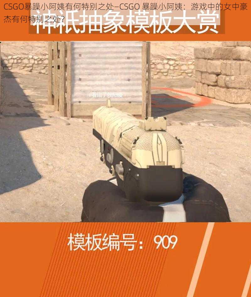 CSGO暴躁小阿姨有何特别之处—CSGO 暴躁小阿姨：游戏中的女中豪杰有何特别之处？