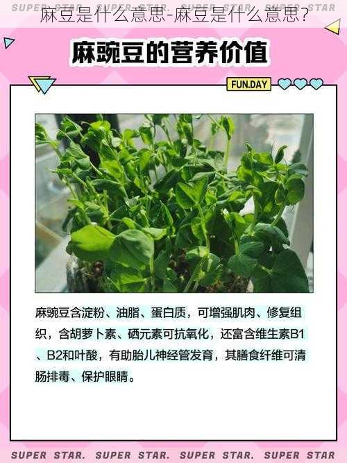 麻豆是什么意思-麻豆是什么意思？