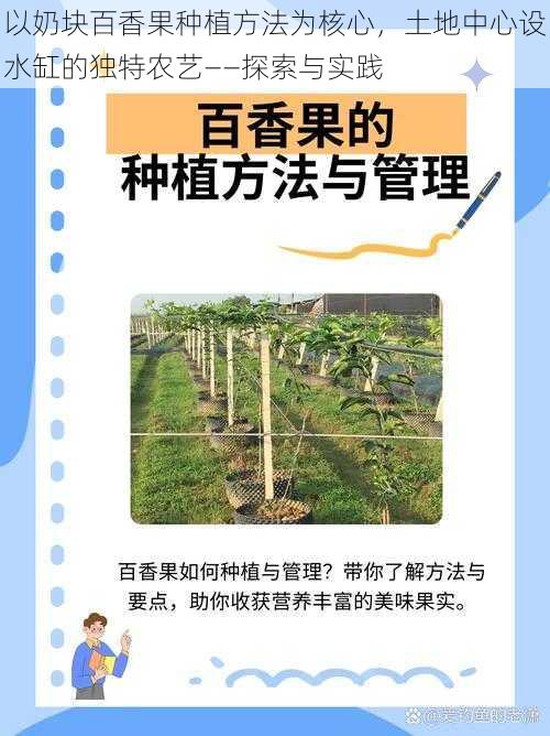 以奶块百香果种植方法为核心，土地中心设水缸的独特农艺——探索与实践