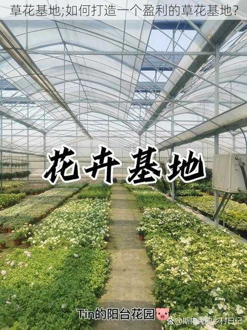 草花基地;如何打造一个盈利的草花基地？