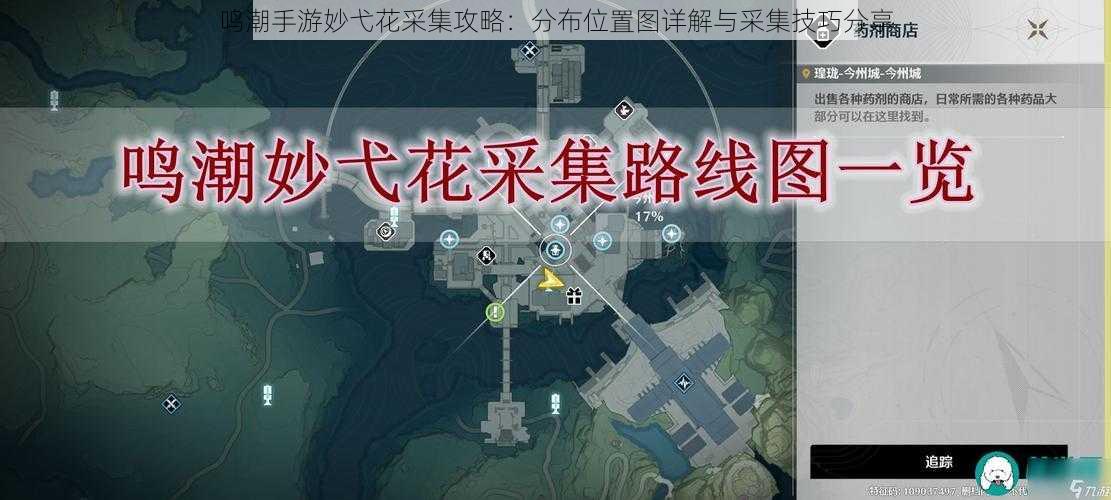 鸣潮手游妙弋花采集攻略：分布位置图详解与采集技巧分享