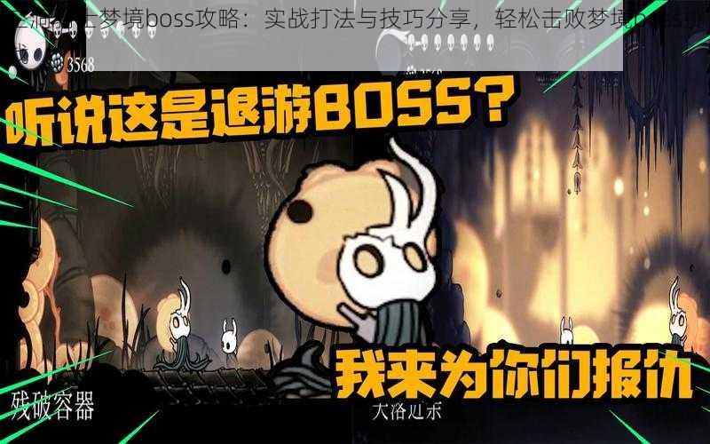 空洞骑士梦境boss攻略：实战打法与技巧分享，轻松击败梦境boss挑战